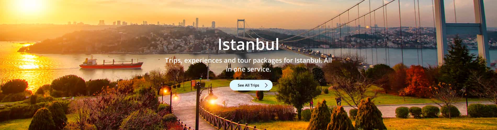 Istanbul Trips